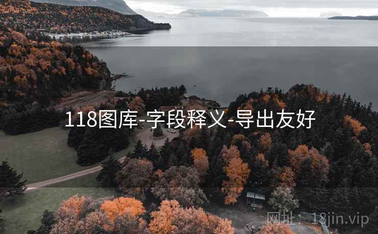 118图库-字段释义-导出友好 118图库-字段释义-导出友好
